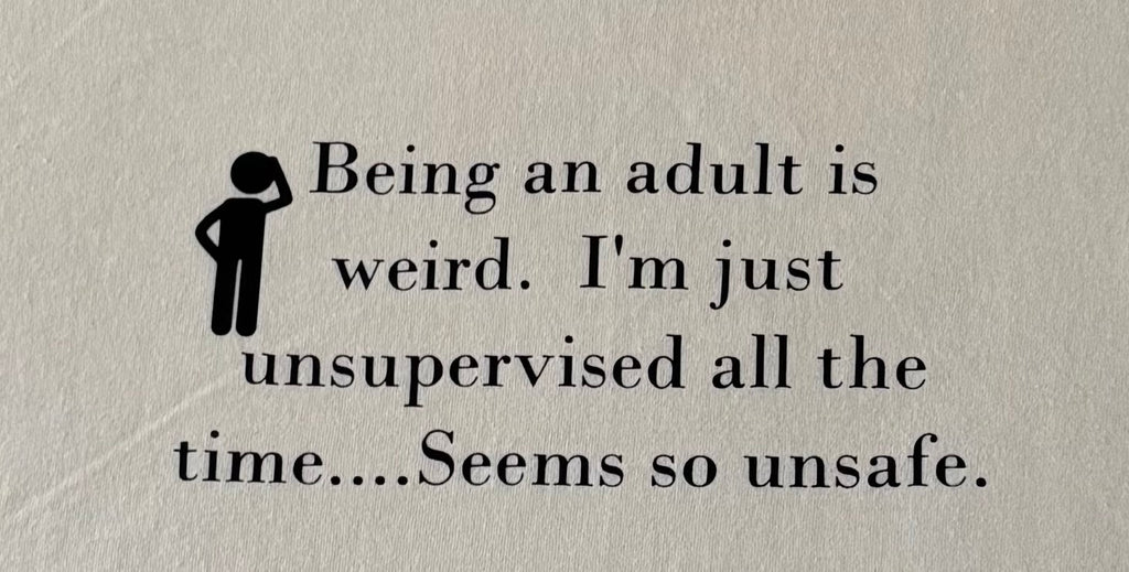 Being an adult is weird. I’m just unsupervised all the time seems so unsafe.